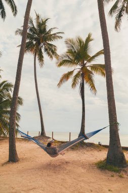 Tatildeyken dinlenen genç bir kadın güzel tropik plajlarda palmiye ağaçlarının arasına bağlanmış bir hamakta oturuyor.