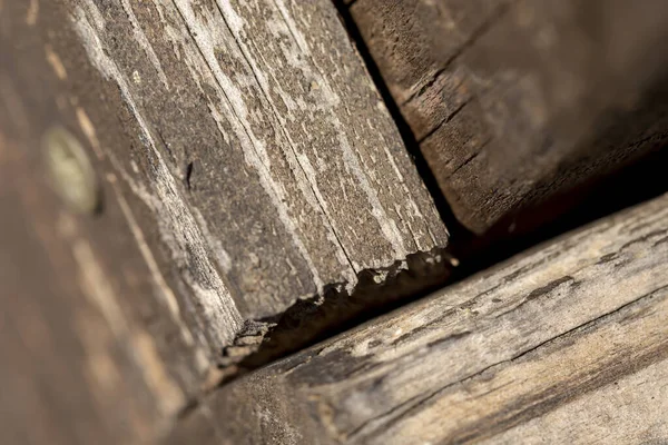 Makro Detal Zniszczone Rustykalny Drewniany Płot Odrywaniem Farby — Zdjęcie stockowe
