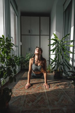 Güzel genç bayan sabah evde çalışırken dinleniyor.