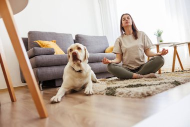 Spor giyim sektöründe aktif genç bir kadın evde köpeğiyle meditasyon yapıyor.