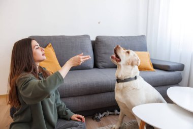 Genç bir kadın evcil köpeğine numara öğretiyor ve ödül olarak ona hediyeler veriyor.
