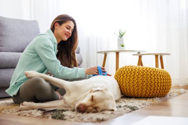 Güzel genç bir kadın köpeğini tımar ediyor, banyo üstüne hayvan fırçası kullanıyor.
