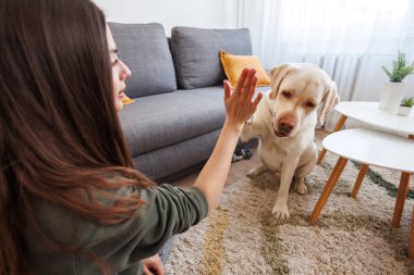 Güzel genç bir kadın, evcil hayvanı Labrador köpeğiyle vakit geçirir, ona numaralar öğretir, sahibiyle beşlik çakar.