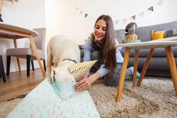 Mooie Jonge Vrouw Hebben Plezier Vieren Haar Huisdier Hond Verjaardag — Stockfoto
