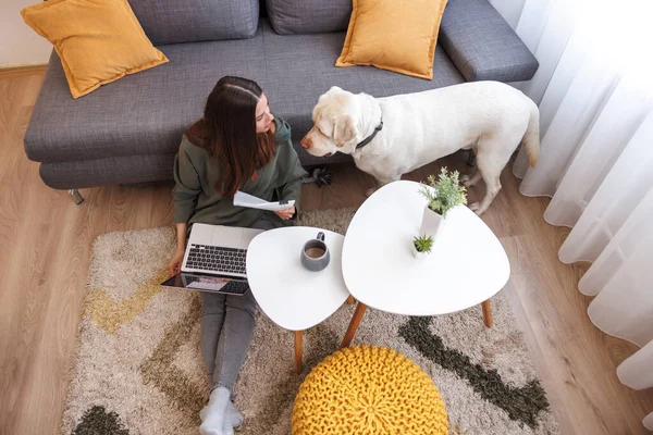 High angle view of beautiful young woman working remotely from home using laptop computer and doing paperwork while her pet dog is lying next to her