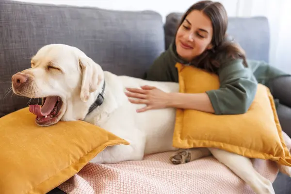 Feminino Pet Proprietário Relaxar Casa Com Seu Belo Cão Labrador — Fotografia de Stock