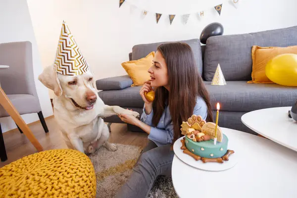 Beautiful young woman having fun throwing a birthday party for her pet, adorable labrador dog