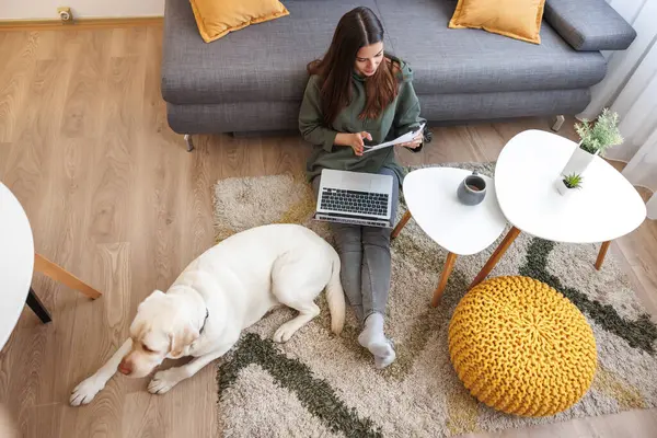 High angle view of female freelancer working remotely from home using laptop computer and doing paperwork while her pet dog is lying next to her