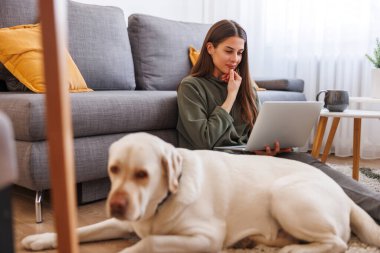 Evinden uzakta çalışan güzel bir genç kadın yanında köpeğiyle dizüstü bilgisayar kullanıyor.