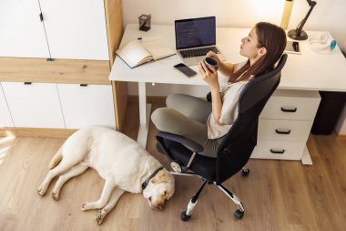 Ofisteki masasında oturan, kahve molası veren ve evcil köpeği yanında uzanmış dinlenen kadının yüksek açılı görüntüsü.