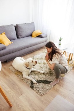 Spor giyim sektöründe aktif genç bir kadın yanında evcil köpeğiyle yoga yapıyor.