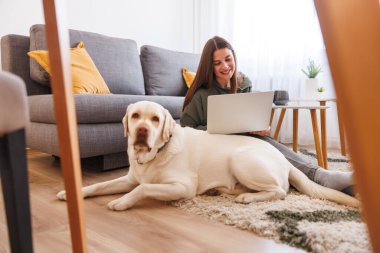 Evinden uzakta çalışan güzel bir genç kadın yanında köpeğiyle dizüstü bilgisayar kullanıyor.