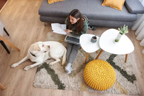High angle view of beautiful young woman working remotely from home using laptop computer and doing paperwork while her pet dog is lying next to her