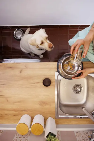 Top view of woman standing in the kitchen pouring food into bowl while feeding her dog; pet owner giving biscuits and treats to her dog