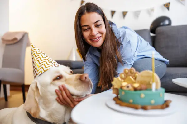 Dog wearing party hat having a birthday party at home; woman having a party for her dog bringing him  birthday cake