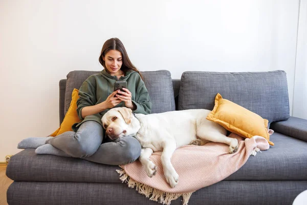自宅でリラックスして余暇を楽しむ陽気な若い女性は 彼女の膝に横たわっている彼女のペット犬とスマートフォンを使用してテキストメッセージを入力します — ストック写真