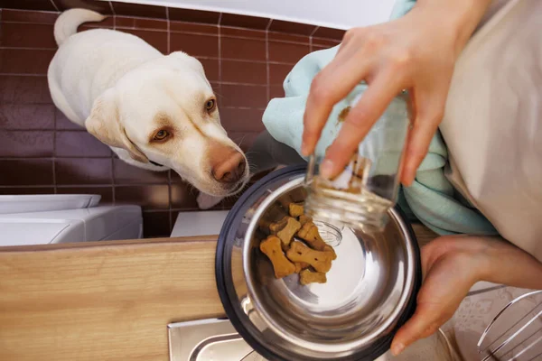 Top view of woman standing in the kitchen pouring food into bowl while feeding her dog; pet owner giving biscuits and treats to her dog