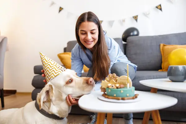 Female pet owner having fun making a birthday party for her dog at home, dog wearing party hat and blowing candle on birthday cake