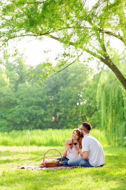 Birbirine aşık çiftler parkta bir piknik battaniyesinde oturmuş ellerinde şarap kadehleriyle kadeh kaldırıyorlar.