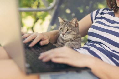 Evde dizüstü bilgisayarıyla çalışan bir kadın kedisiyle asistan olarak çalışıyor.