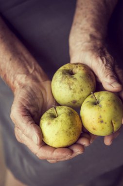 Elinde üç elma tutan bir adam.