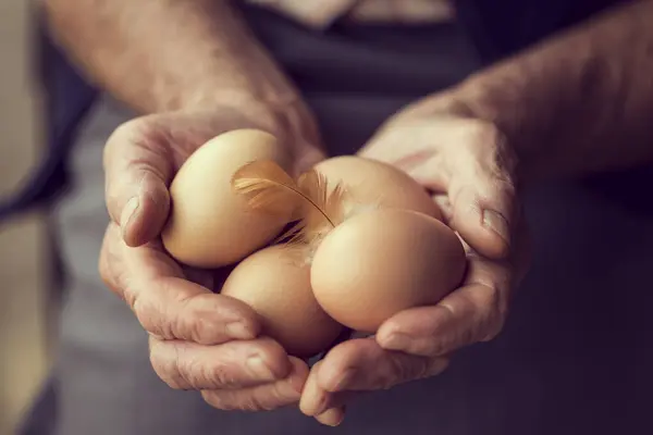 Een Persoon Die Drie Eieren Zijn Handen Heeft — Stockfoto
