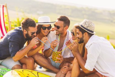 Havuz başında bir yaz partisinde bir grup arkadaş yüzme havuzunun kenarında oturup ananas kokteyli içip eğleniyorlar.