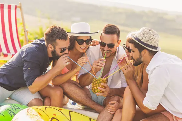 Havuz başında bir yaz partisinde bir grup arkadaş yüzme havuzunun kenarında oturup uzun pipetlerle ananas kokteyli içip eğleniyorlar.