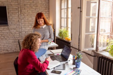 Yeni bir proje üzerinde birlikte çalışan genç iş arkadaşları; ortak çalışma alanında çalışan serbest programcılar