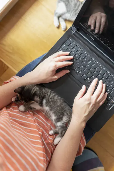 Mulher Trabalhando Computador Portátil Casa Com Seu Gatinho Como Assistente — Fotografia de Stock