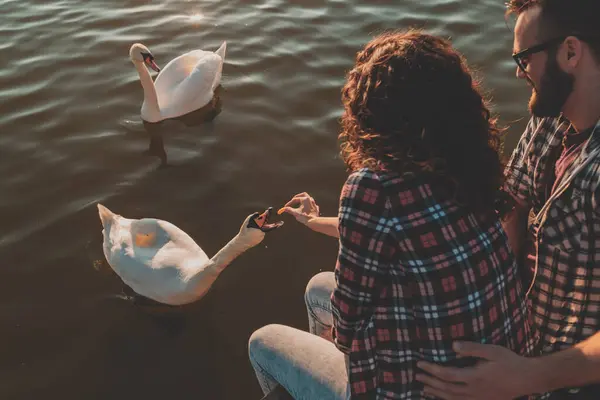 湖のドックに座って 抱擁し スワンに餌を与え 自然の中で美しい晴れた一日を楽しんで愛する若いカップルの高い角度ビュー — ストック写真