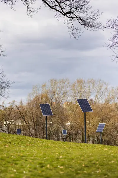Solar panels in a row powering street lights in the park as part of a project ment to popularize  alternative renewable energy sources and green energy