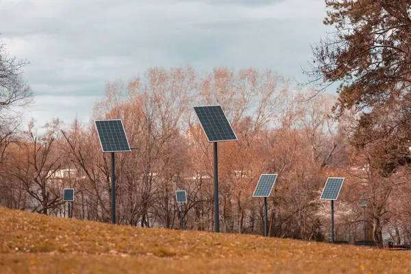 Solar panels in a row powering street lights in the park as part of a project ment to popularize  alternative renewable energy sources and green energy