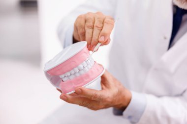 Stomatoloji için plastik çene modeli tutan ve dişçi muayenehanesindeki hastaya gerekli prosedürü açıklayan doktorların ayrıntıları