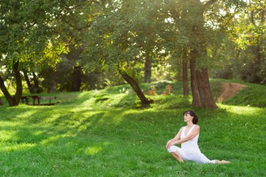 Orta yaşlı kadın Yoga sabah erken bir parkta yapıyor.
