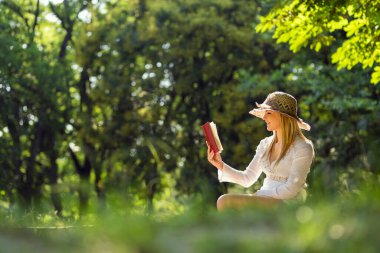 Parkta güneşli bir yaz gününde kitap okuyan genç bir kadın.