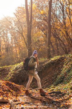 Güneşli bir sonbahar gününde ormanda yürüyüş yapan ve tatilini dışarıda, doğada geçiren güzel, aktif bir kadın.