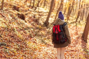 Sırt çantasıyla gezen, güzel bir sonbahar gününü dışarıda geçiren renkli yapraklarla kaplı ormanda yürüyen aktif genç bir kadın.