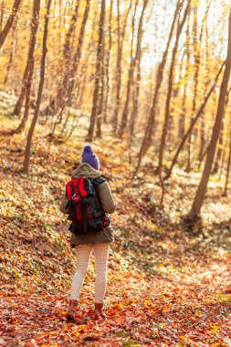 Sırt çantasıyla gezen, güzel bir sonbahar gününü dışarıda geçiren renkli yapraklarla kaplı ormanda yürüyen aktif genç bir kadın.