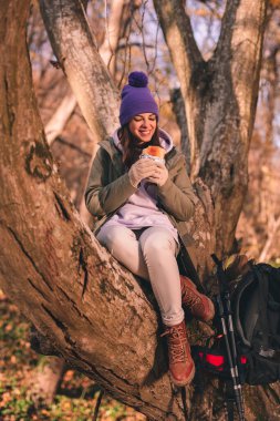 Aktif genç bir kadın yürüyüşe çıkıyor, ağaçta oturuyor ve güneşli bir sonbahar gününde dışarıda kahvaltı yapıyor.