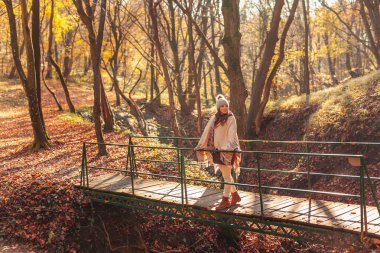 Orman yolundaki bir derenin üzerinde, renkli yapraklarla kaplı bir kadın, güneşli bir sonbahar gününü doğada geçirmenin keyfini çıkarıyor.