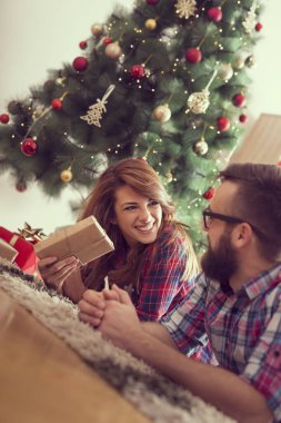 Güzel bir Noel ağacının yanında, oturma odasında yerde yatan genç ve güzel bir çift Noel hediyelerini değiş tokuş ediyorlar.