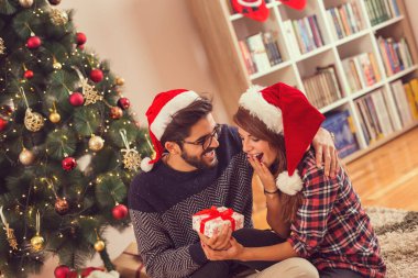 Birbirini seven bir çift Noel ağacının yanında oturmuş Noel sabahı hediyelerini değiş tokuş ediyorlardı.
