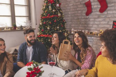 Bir grup genç arkadaş kış tatilini evde birlikte geçirip, güzelce süslenmiş Noel ağacının yanında Noel hediyelerini açarak eğleniyorlar.
