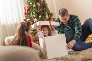 Anne babalar Noel günü evlerinde çocuklarıyla oynarken eğleniyorlar. Küçük kızlar büyük Noel hediyelerinden saklanıp zıplıyorlar.