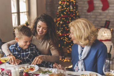 Aile evde Noel yemeği yiyor, masanın etrafında toplanıyor, birlikte vakit geçiriyorlar; anne oğlunu kucağına alıyor ve büyükannesiyle sohbet ediyor.