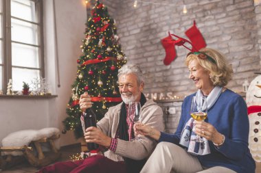 Yaşlı çift Noel 'i evde kutluyor, güzel dekore edilmiş bir Noel ağacının yanında oturuyor, bir şişe şarap açıyor.