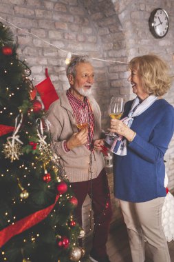 Güzel yaşlı çift Noel 'i evde kutlarken eğleniyor, güzelce süslenmiş Noel ağacının yanında duruyor ve şarap içiyor.