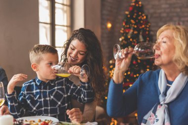 Aile evde Noel yemeği yiyor, masanın etrafında toplanıyor, birlikte vakit geçiriyorlar; anne oğlunu kucağına alıyor ve büyükannesiyle kadeh kaldırıyor.