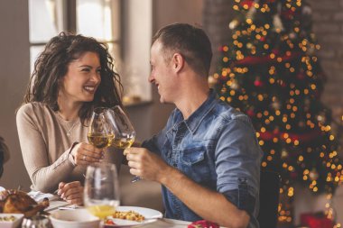 Güzel bir çift Noel yemeğini aileleriyle yer, masada oturur, kadeh kaldırır, şarap içerler.